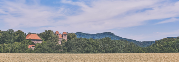 Bild vergr&ouml;&szlig;ern: _neu_gl_reinhausen_klosterkirche_a_04_c_ralf_koenig__1_-2