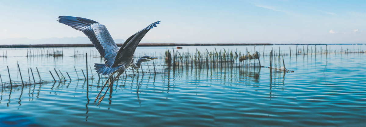 Wasser Titelbild