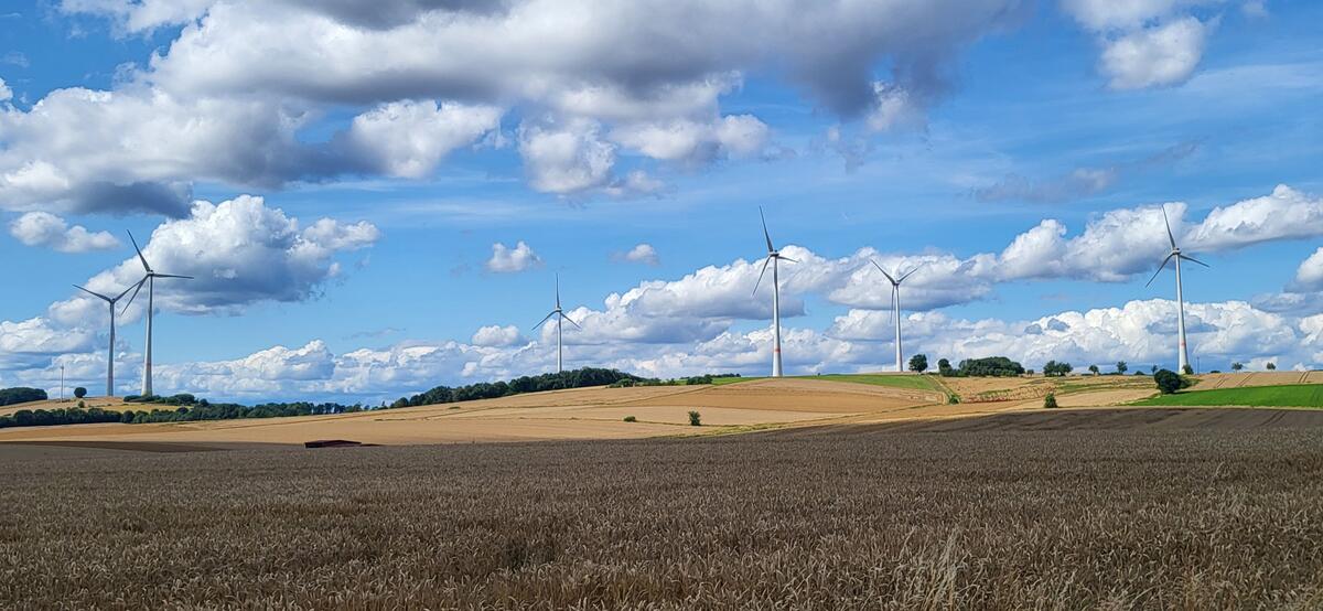 Windräder Titelbild